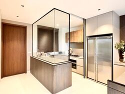 Holland Grove Road (D10), Terrace #498445041
